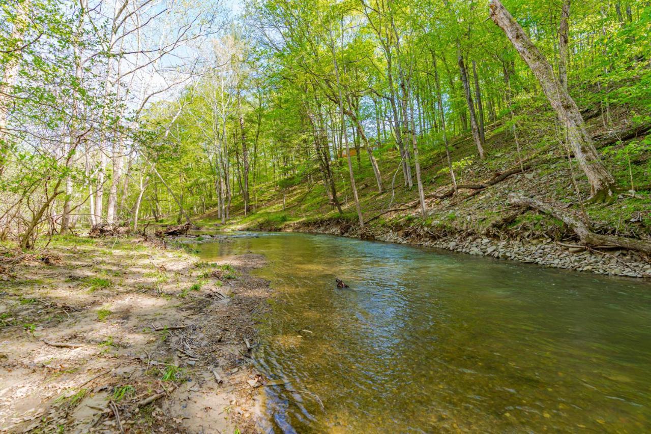 River Access Cabin With Hot Tub, Fire Pit, & Wifi! Morton Grove Esterno foto